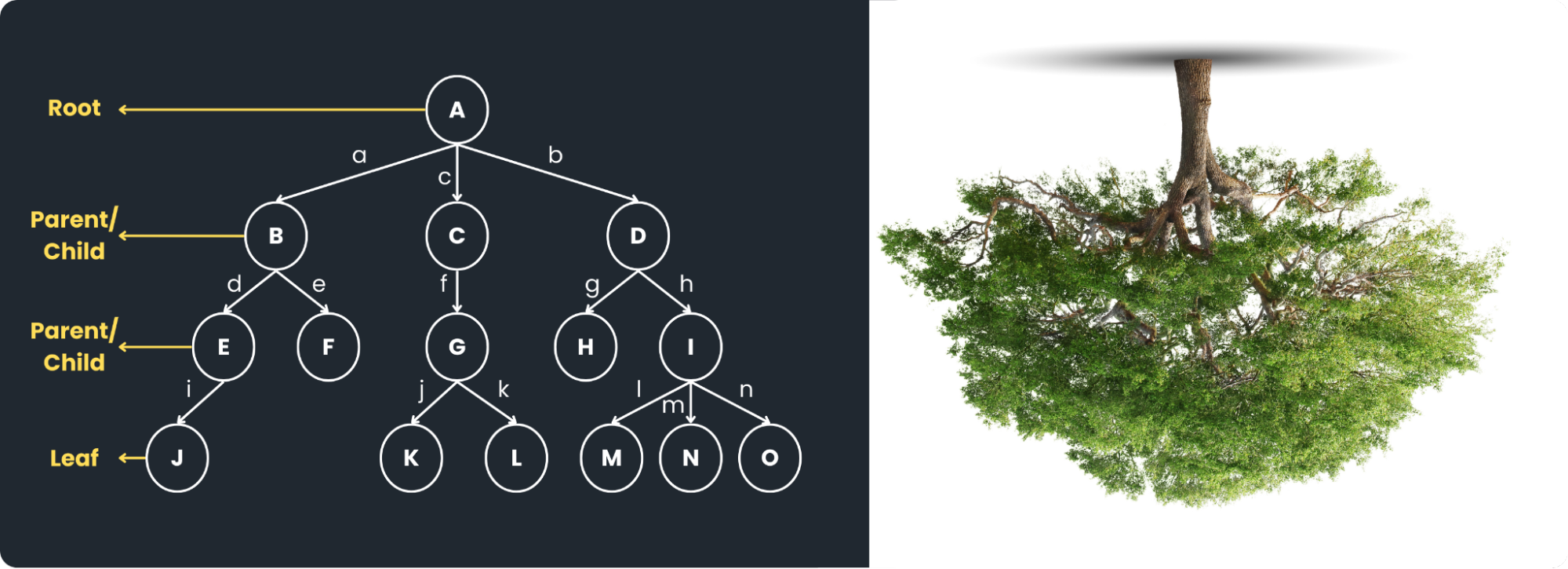 Linux File Tree Sda Tree | Praktikum SDA 2026